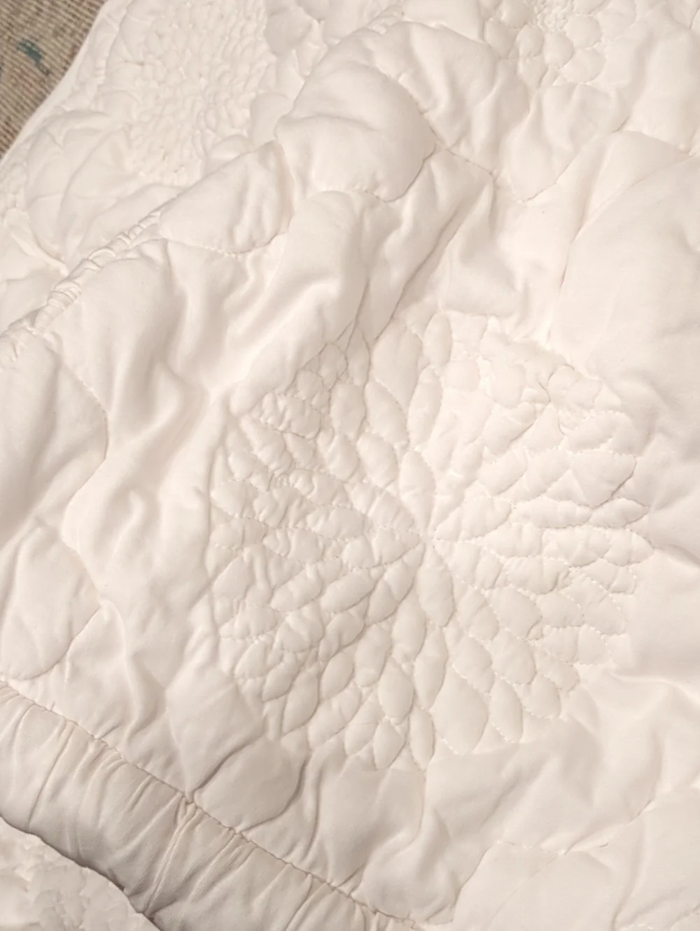 2 Anthropologie Dahlia 100% Cotton Jersey Floral Quilt Pillow Cases